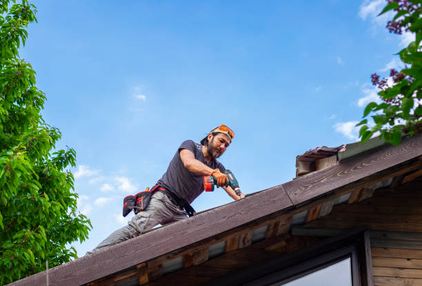 Best Roof Maintenance and Cleaning  in Otterbe, IN